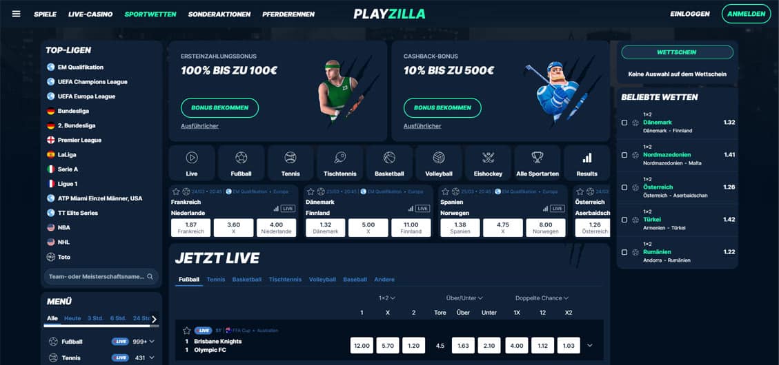 Startseite der Playzilla Website